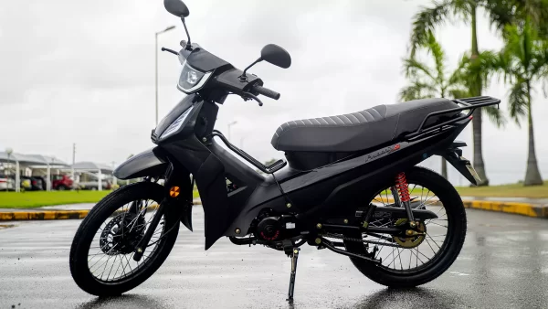 PHOENIX S EFI - Image 2