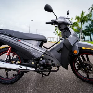 PHOENIX S EFI