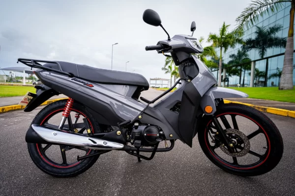 PHOENIX S EFI
